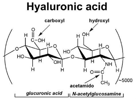 hyaluronic acid diagram 